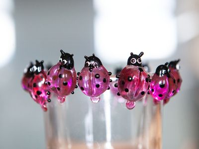 Den otevřených dveří na SŠŘS –