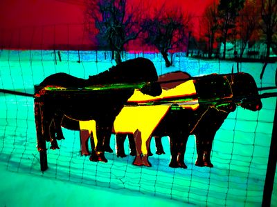 Galerie Kaplička: Kateřina Kobrlová – Galerie Kaplička