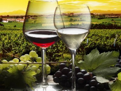 Degustace vín ITALIE, FRANCIE – Clea Tours and café