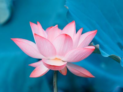 Meditace pro veřejnost –