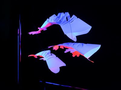 SUPŠ a VOŠ Jablonec: Černé světlo 9 – Galerie Kaplička