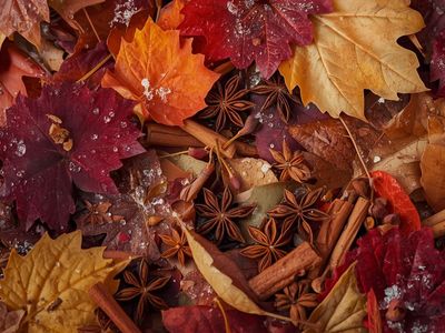 Vitalita a energie: Cesta k vyváženému metabolismu –