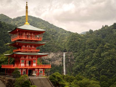 From snow to palm trees: our journey through Japan – STAGE club