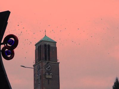 Maxim Dunajčík - Atomové jablko – Galerie Kaplička