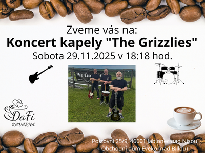 Concert by the band "The Grizzlies" – Kavárna DaFi, dětský koutek