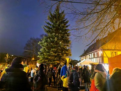 Angel Advent – House of Czech-German Understanding, meeting centr